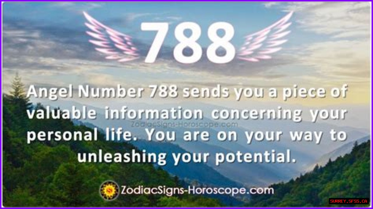 
ANGEL NUMBER 788
