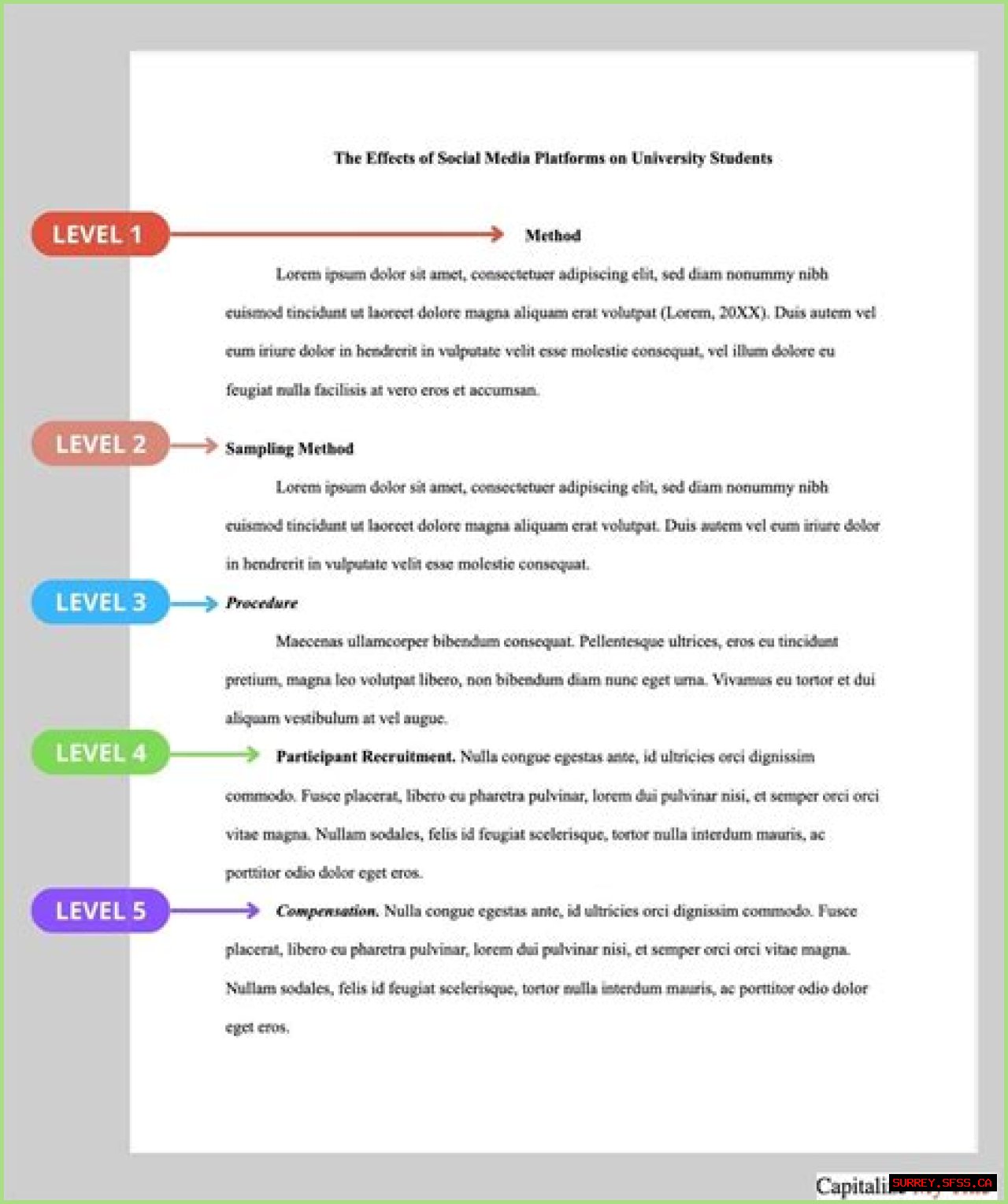 Apply the Correct Standards When Writing a Legislation Essay