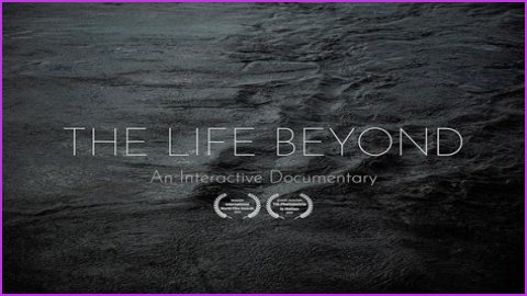 Dave Matthews's Personal Journey: Uncovering The Life Beyond The Music