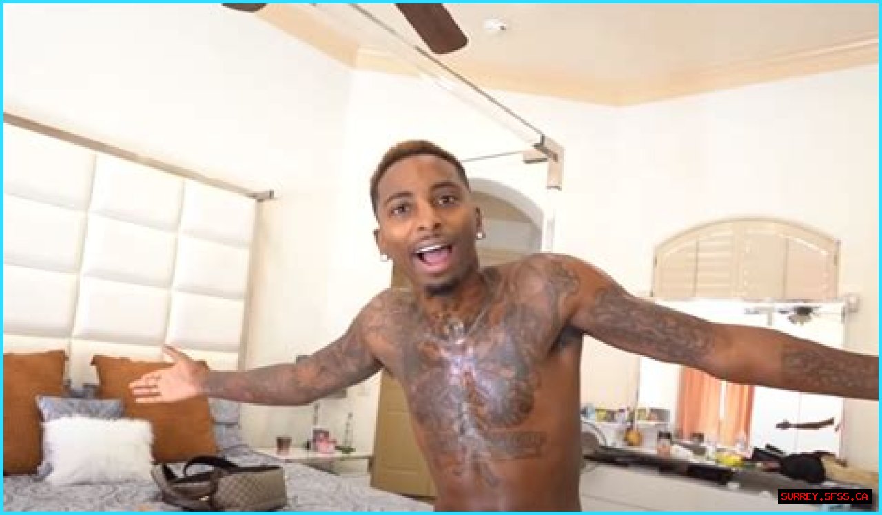 Macarthur Johnson Bio, Career, Boyfriend, History, Net Worth