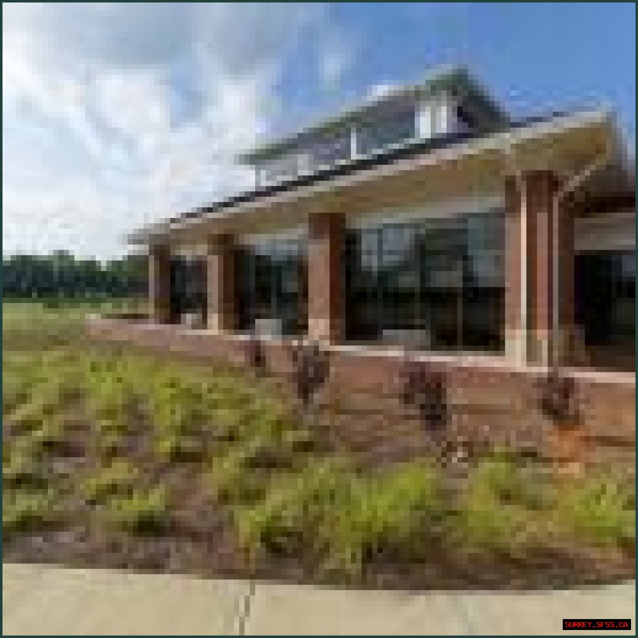 Planting Design Fundamentals | Mississippi State University Extension Service