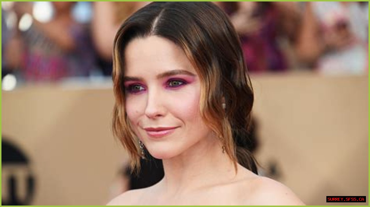 Sophia Bush Plastic Surgery Before and After