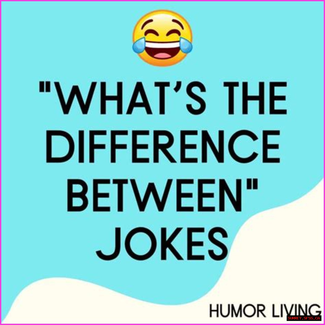 The Essential Guide To Understanding The Difference Between Jokes