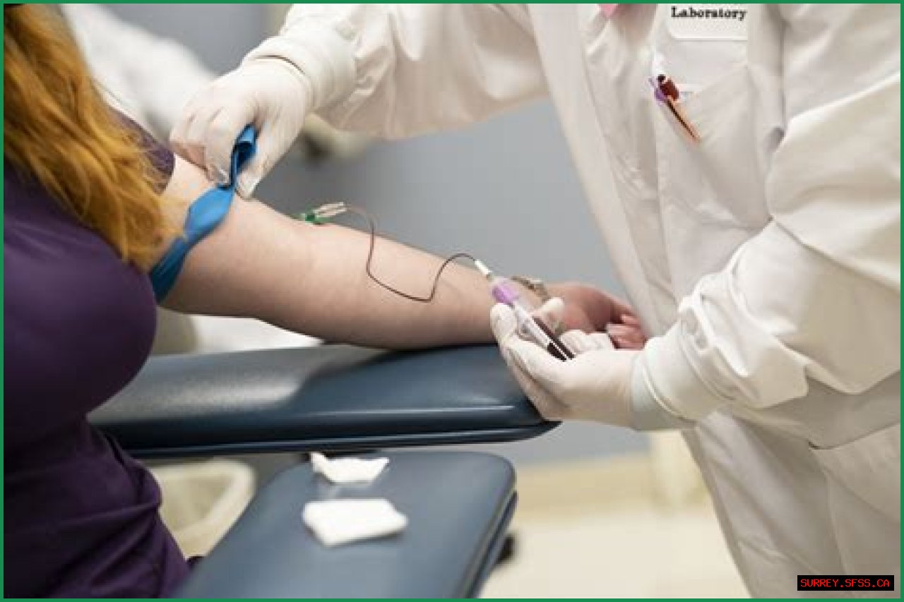 Where To Get Phlebotomy Training Gladstone MI 49837
